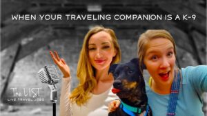 What is a travel companion